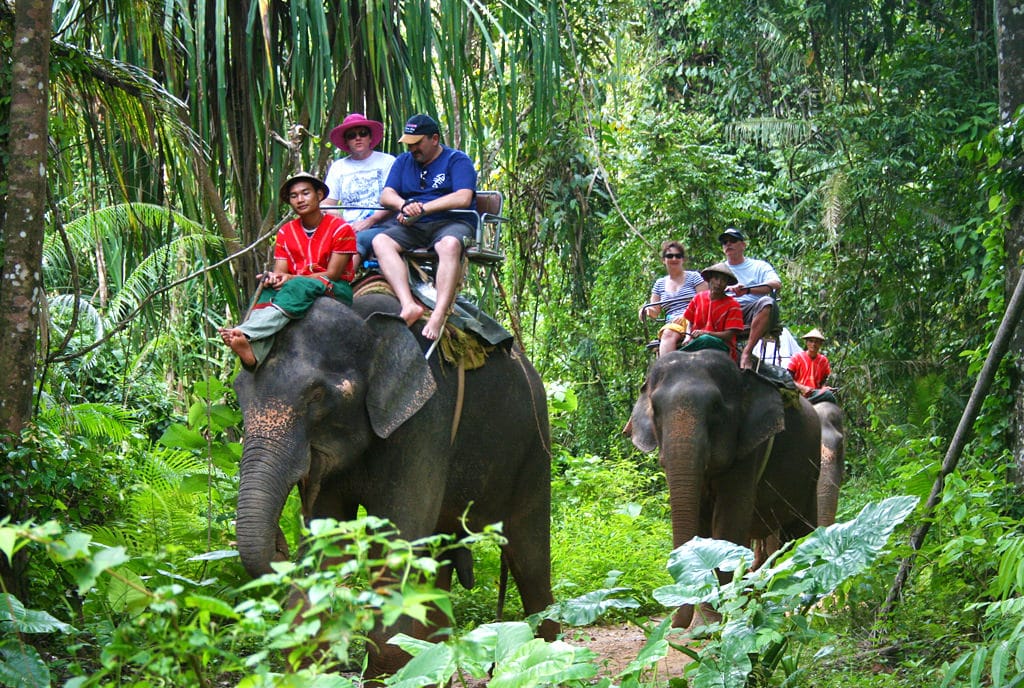 محمية غابة الفيلة